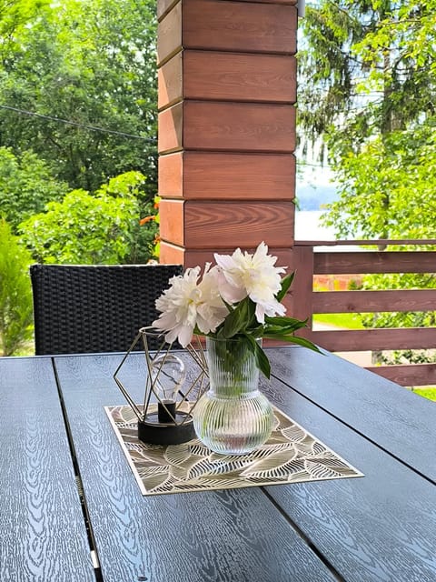 Babakaj Villa in Serbia