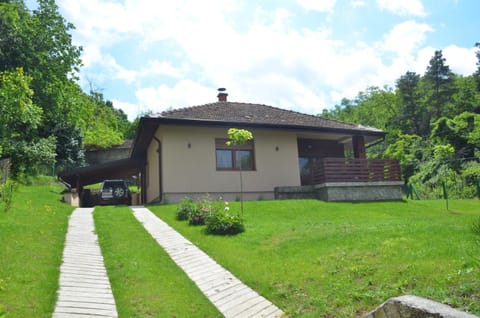Babakaj Villa in Serbia