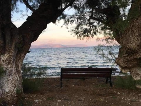 Evangelia House Sea View Apartments Apartment in Islands