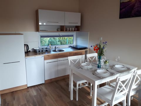 Day, Kitchen or kitchenette, Other, Dining area