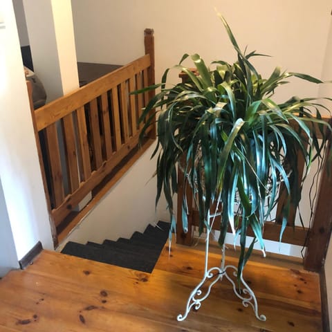 Dom Wakacyjny Parkowa House in West Pomeranian Voivodeship, Poland