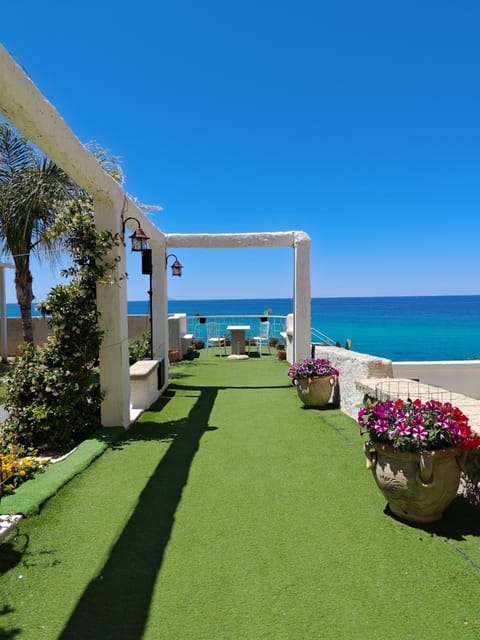 Garden, Sea view