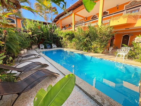 Garden, Pool view, Swimming pool, sunbed