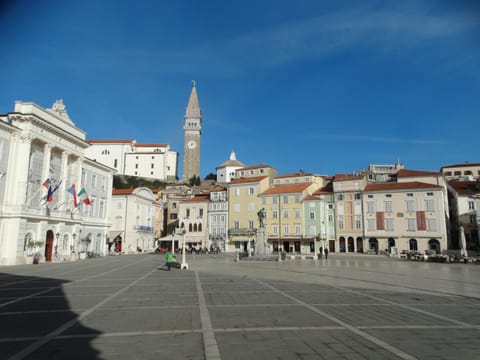Ellipse apartment Apartment in Piran