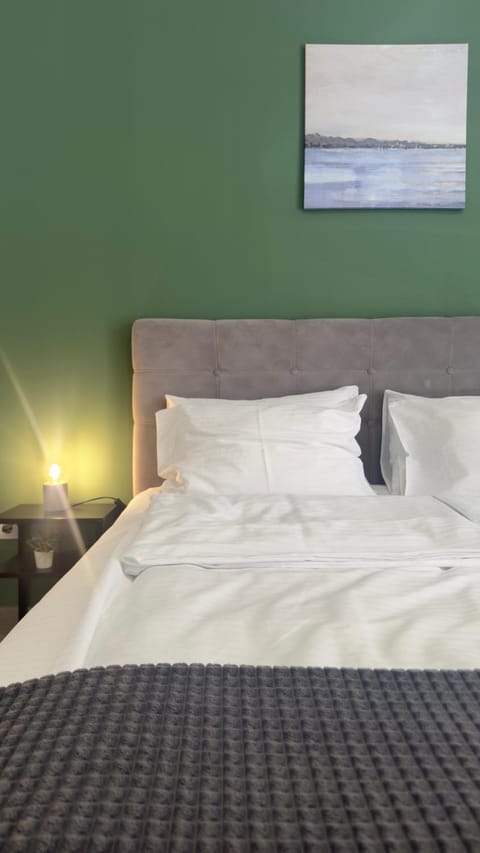 Code Srebrno Jezero Apartment in Vojvodina