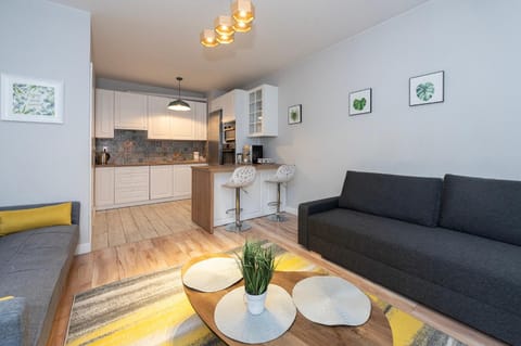 Kitchen or kitchenette, Living room, Seating area, stove