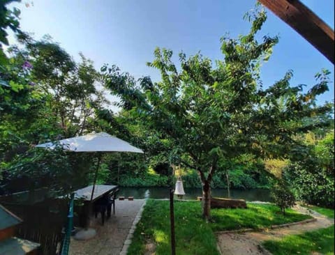 Natural landscape, Garden, Garden view