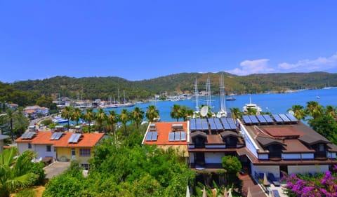 View (from property/room)