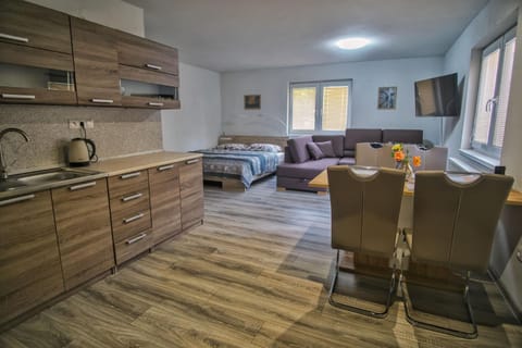 Kitchen or kitchenette, Living room, Photo of the whole room, Dining area