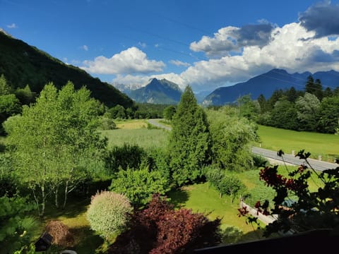Natural landscape, Garden view, Mountain view