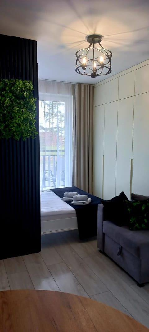 Bed, Living room, Photo of the whole room, Seating area, Bedroom