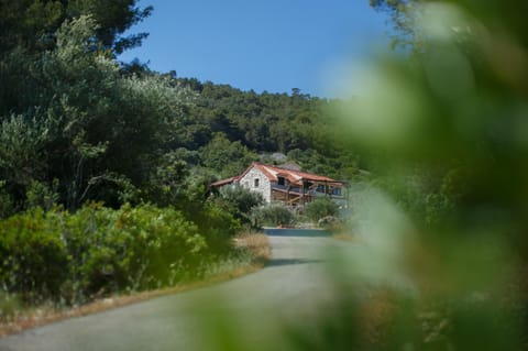 Olive Hill Familly House House in Vis