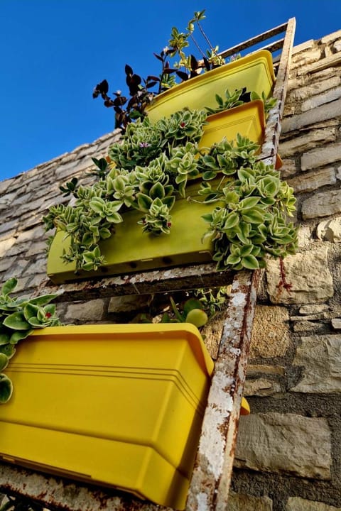 Kithia Vintage House Villa in Crete