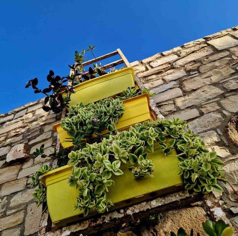 Kithia Vintage House Villa in Crete