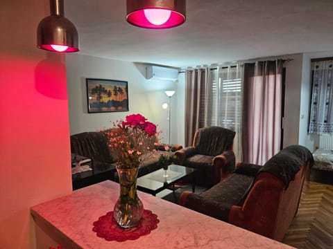 Apartmani, sobe Žiža Apartment in Vojvodina
