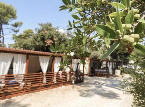 Property building, Balcony/Terrace, Balcony/Terrace