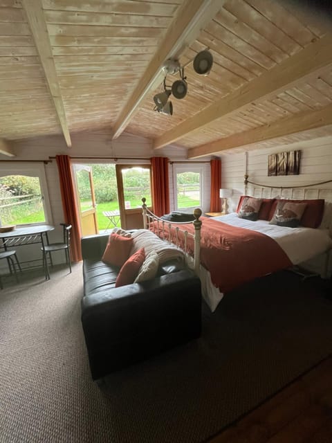 Bed, Photo of the whole room, Seating area