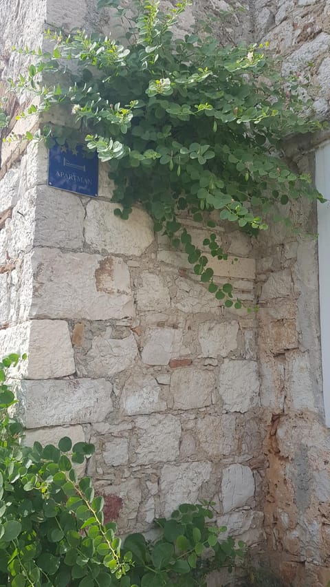 Facade/entrance, Garden