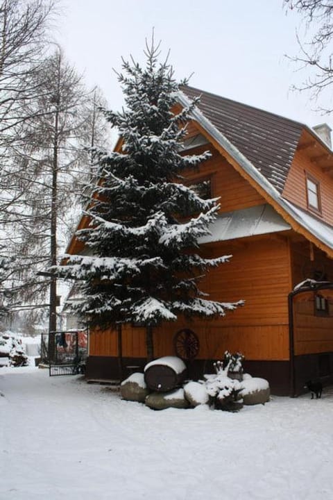 Property building, Day, Winter