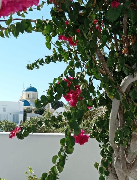 Sensia Luxury Apartment with Hot tub Apartment in Oia