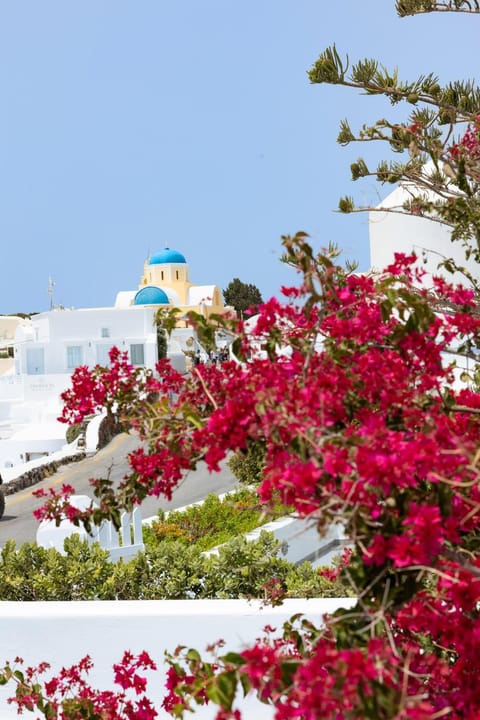 Sensia Luxury Apartment with Hot tub Apartment in Oia