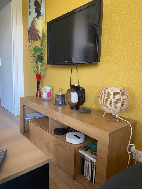 TV and multimedia
