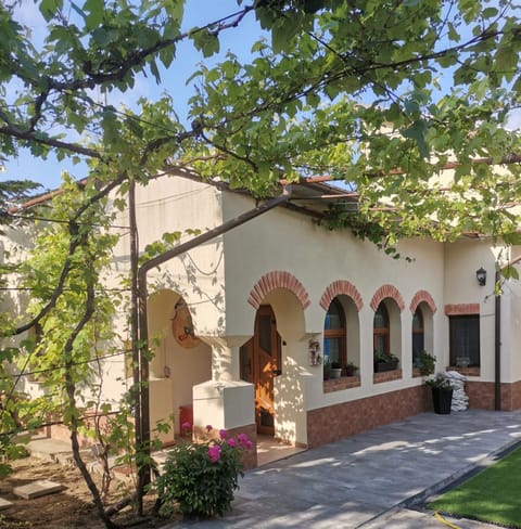 Property building, Facade/entrance, Summer, Garden
