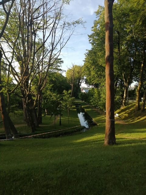 Natural landscape, Garden