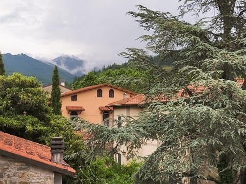 Mountain view