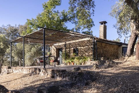 Property building, Spring, Day, Garden, Garden view