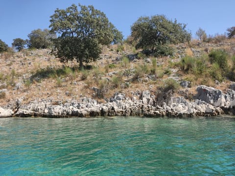 Villa e Olsi Kacupaj Apartment in Sarandë