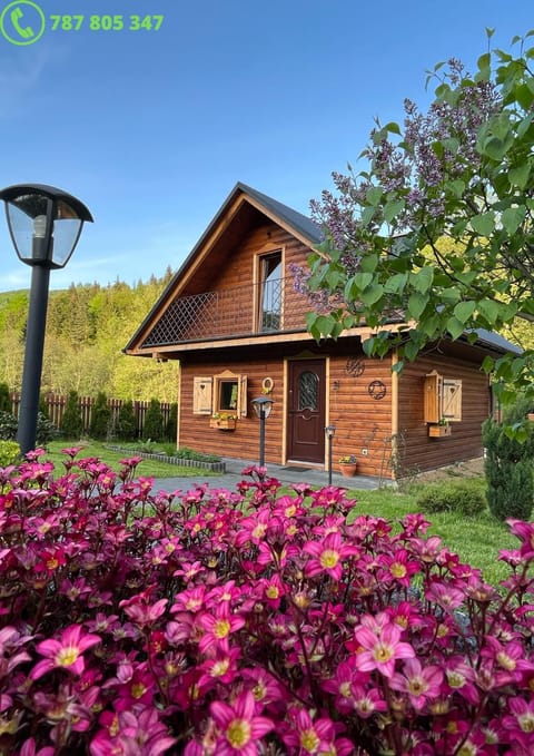 Property building, Spring, Day, Garden, Garden