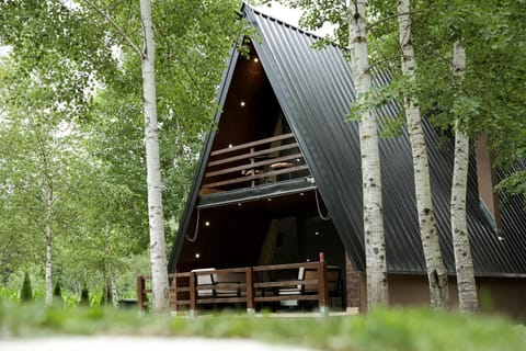 Miletic Villas Villa in Serbia