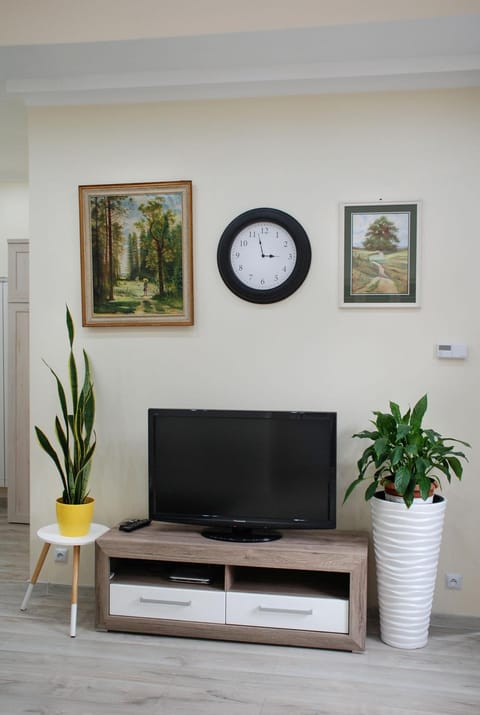 TV and multimedia