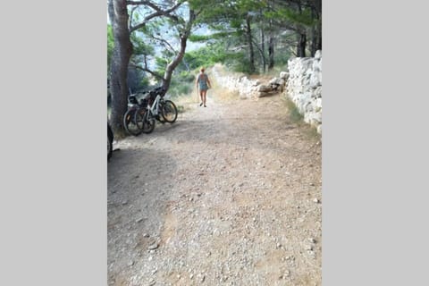 Apartman Nela Apartment in Brela