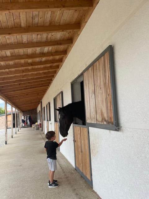 House of Horses Shtepia e Kuajve Hotel in North Macedonia