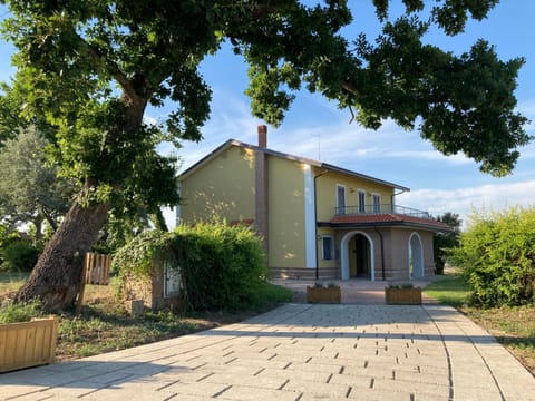 Facade/entrance, Garden