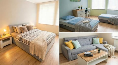 Bed, Living room, Photo of the whole room, Seating area, Bedroom