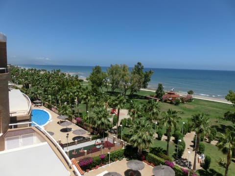 Property view