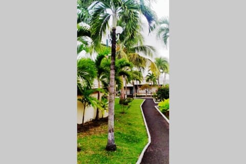 LES EAUX BLEUES Apartment in Le Gosier