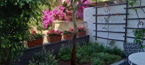 La Casetta di Sotto Apartment in Forio