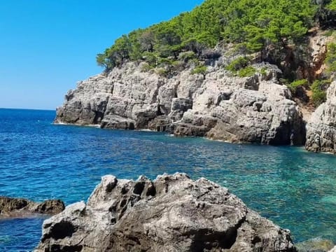 Rooms Korina & Mauro Ropa Mljet Bed and Breakfast in Dubrovnik-Neretva County