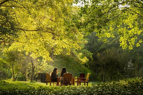 Off site, Natural landscape