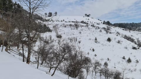 Natural landscape, Winter, Mountain view