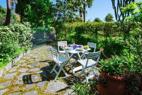 Patio, Garden, Garden view