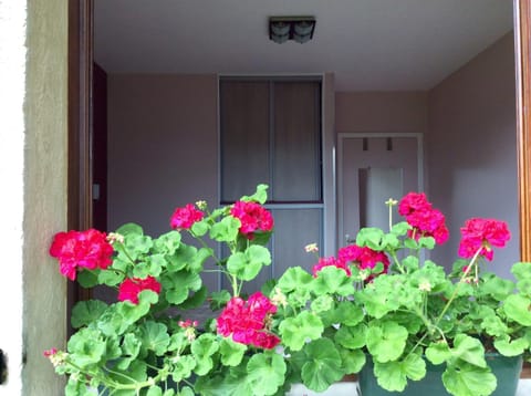 Garden view, Garden view