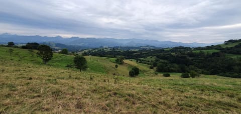 Other, Hiking
