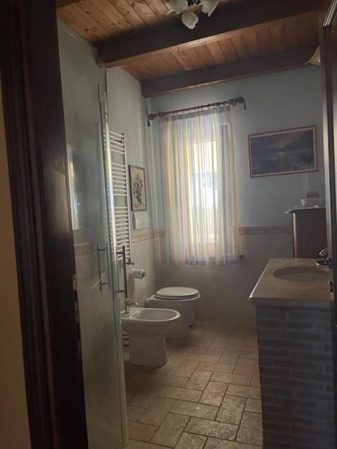 Shower, Bathroom, bidet