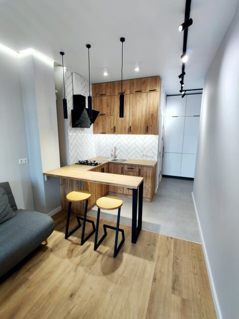 Kitchen or kitchenette, Photo of the whole room
