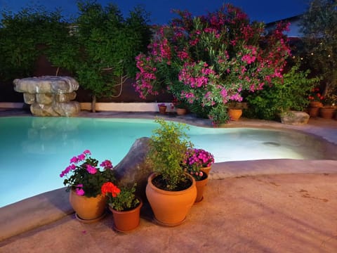 Spring, Night, Swimming pool